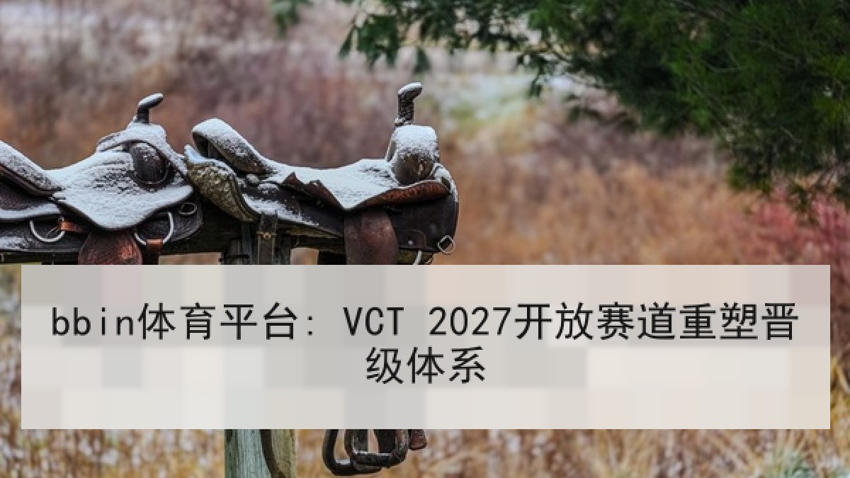 bbin体育平台: VCT 2027开放赛道重塑晋级体系