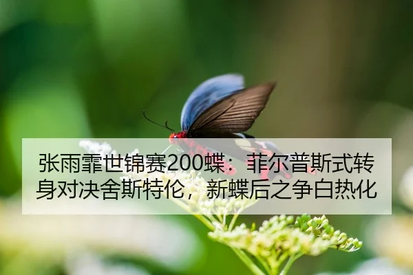 张雨霏世锦赛200蝶：菲尔普斯式转身对决舍斯特伦，新蝶后之争白热化