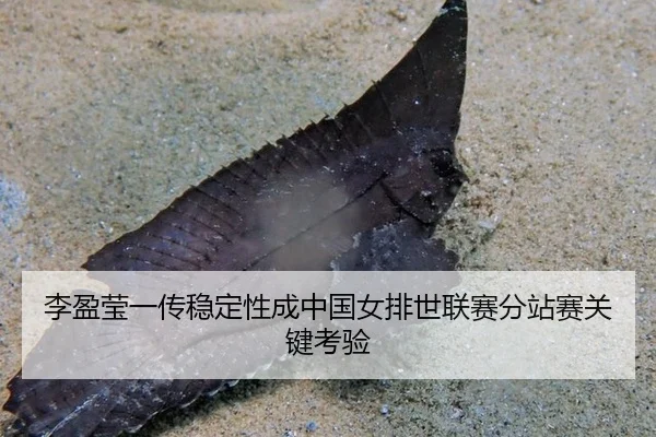 li-ying-ying-yi-chuan-wen-ding-xing-cheng-zhong-guo-nv-pai-shi-lian-sai-fen-zhan-sai-guan-jian-kao-yan-2-878.jpg
