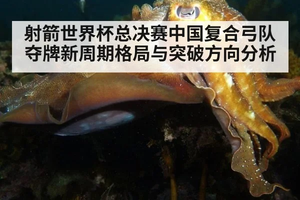 射箭世界杯总决赛中国复合弓队夺牌新周期格局与突破方向分析